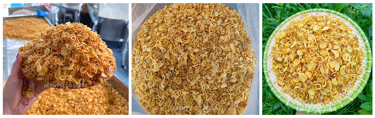 cover - hành phi cô lương